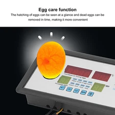 Intelligent Incubator Thermostat Automatic Egg Incubator Controller New