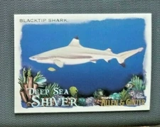 2021 Topps Allen and Ginter Deep Sea Shiver #DSS8 Blacktip Shark