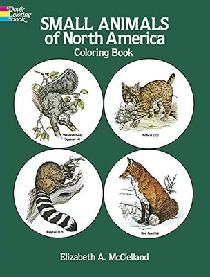 Small Animals of North America Coloring Book (Colouring Books),E