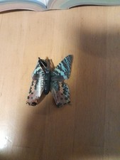 KINDER K94 N 55 D SCHMETTERLING
