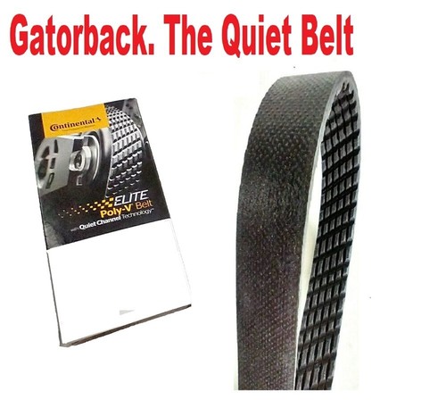 NEW Serpentine Poly-V Belt The Quiet Belt "Gatorback" CONTINENTAL ELITE 4060827 - Picture 5 of 6