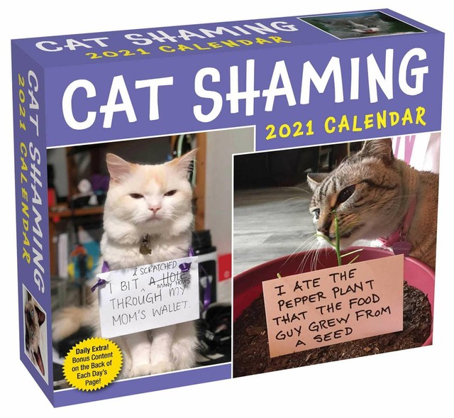 CAT SHAMING - 2021 DAILY DESK CALENDAR - BRAND NEW - HUMOR 856984 | eBay