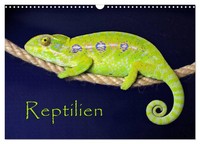 "Calendar 2027 · US Version · Reptilian (Wall Calendar 2027 17\" × 12\" Landscape),"