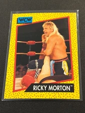 1991 Impel WCW Near Mint Pick Your Card!