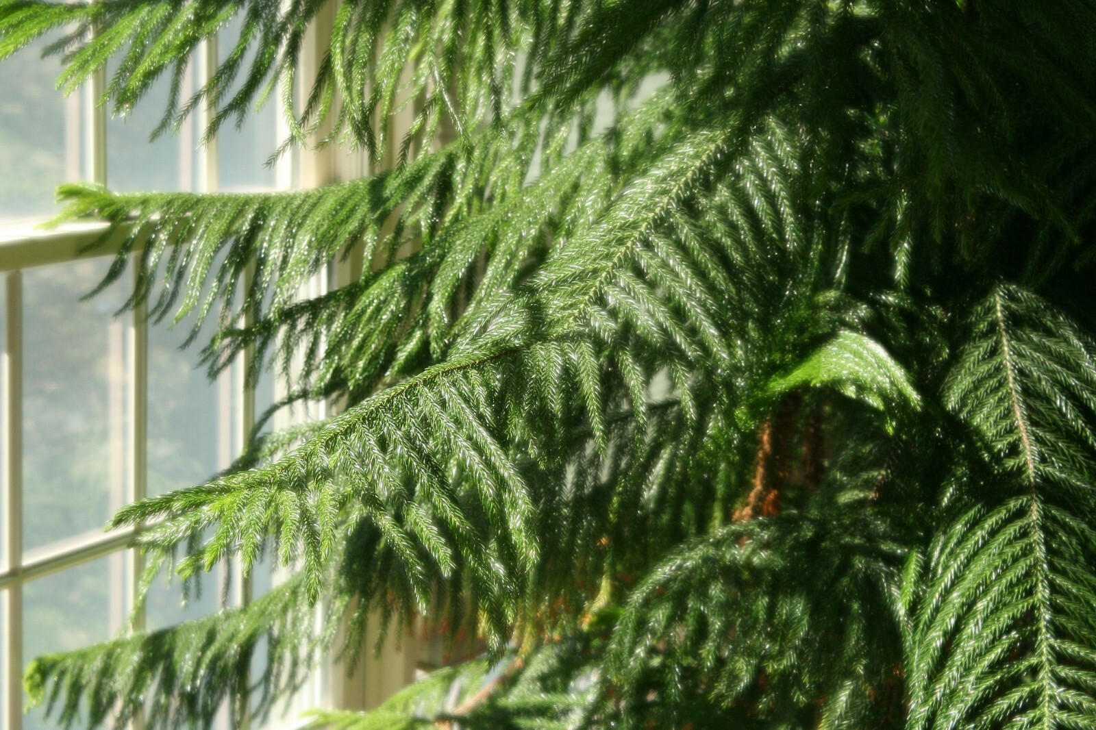 Picture 6 of 7