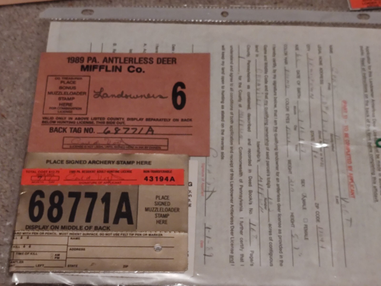 PA Landowner Doe Hunting License Set! eBay