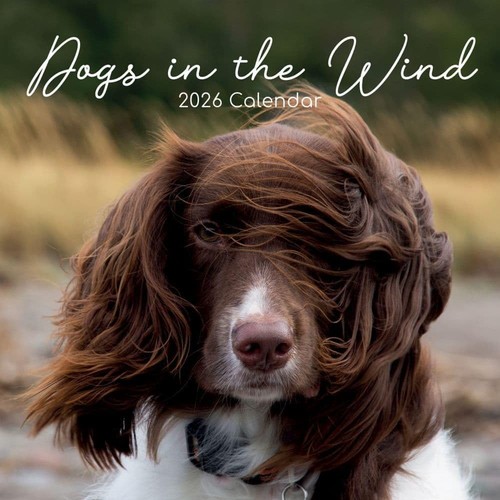 DOGS IN THE WIND - 2026 WALL CALENDAR - BRAND NEW - 224037 - Picture 1 of 2