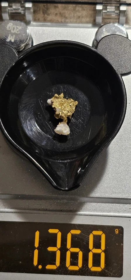 Increíble espécimen de 1,369 g Eagles Nest Mine Placer County Ca Foto 4 de 4