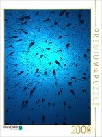 Calvendo Puzzle Schwarmintelligenz | 2000 Teile Lege-GrößE 90 × 67 Cm Foto-Puzzl