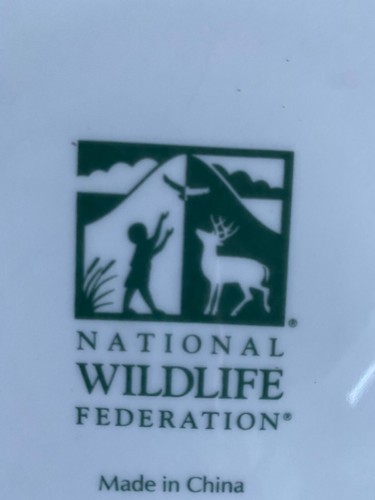 Set of 3 pc HUMMINGBIRD National Wildlife Federation Bird Dinner Plates Set 11” - Picture 2 of 8