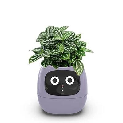 Bloomy Friend Ivy Smart planter Light Purple plantagocci