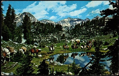 Postcard South Pass, Togwatee Pass, Dubois,Pack Trip in the Wind River Range, WY
