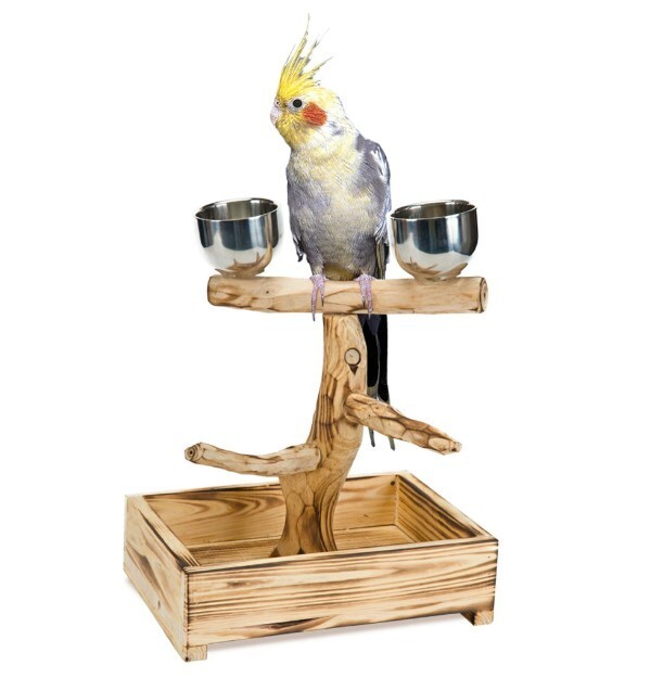 Penn-Plax Bird-Life Natural Wood Tree Perch for Small and Medium Birds