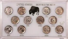 1934-1938 PDS Ch. AU to Gem BU Buffalo Nickel Short Set #1 , 12 Coins, Lustrous!