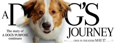 A Dog S Journey 2019 6 Filmposter Kunstdruck matt Raumdeko Fan Epic limitiert M
