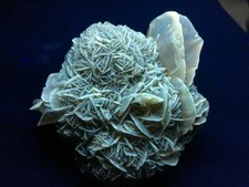 KB: BRIGHT FL. YELLOW/WHITE SW/LW/PHOS. GYPSUM XLS. FROM CANADA