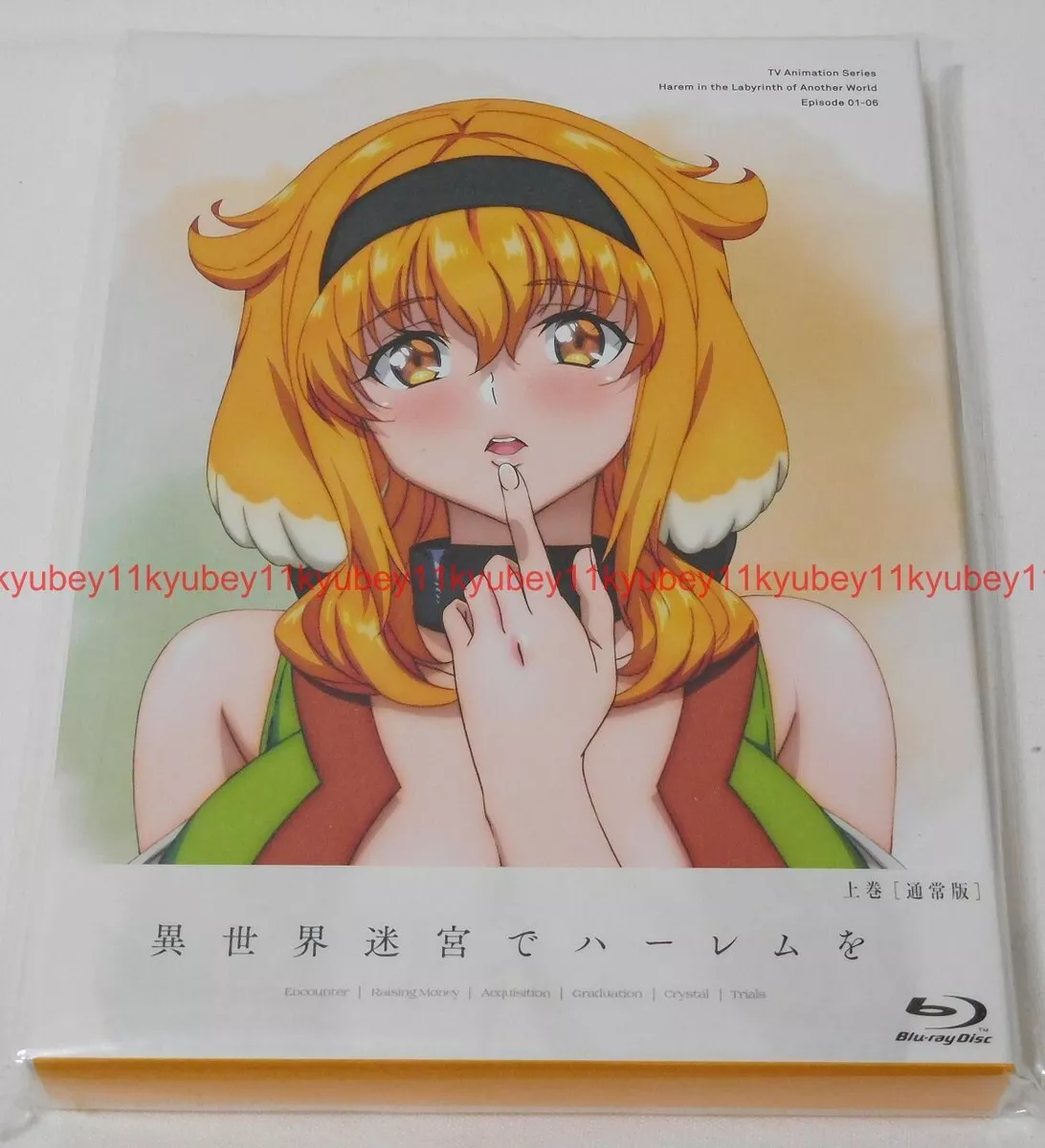 Harem in the Labyrinth of Another World: Vol. 1 Blu-ray (異世界