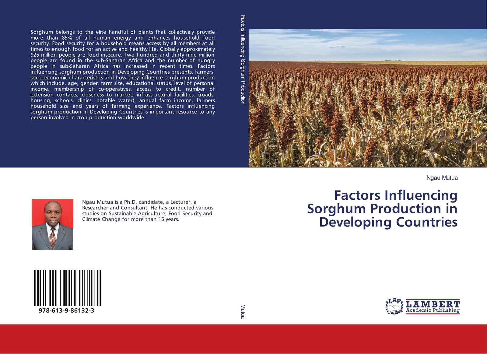 Thumbnail - Factors Influencing Sorghum Production In Developing Countries Ngau