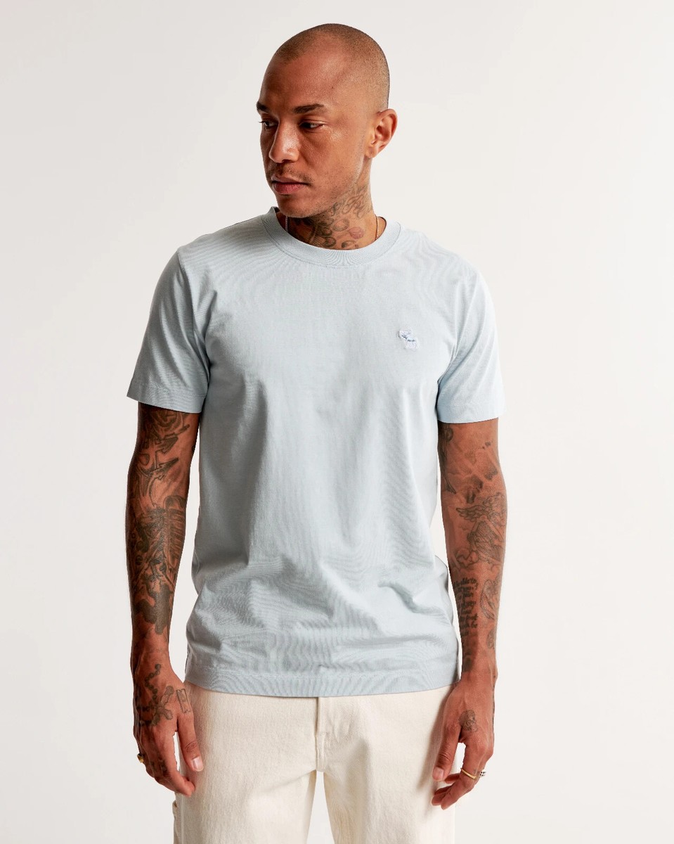 【Abercrombie & Fitch】クラシック ポリッシュ ロゴ Tシャツ メンズ クラシック ポリッシュ ロゴTシャツ | メンズ セール