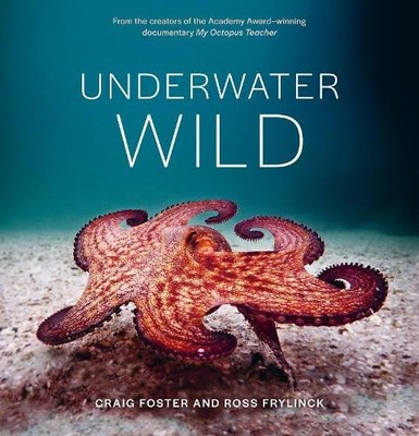 Unterwasser-Wild: Die außergewöhnliche Welt meines Oktopus-Lehrers von Craig Foster