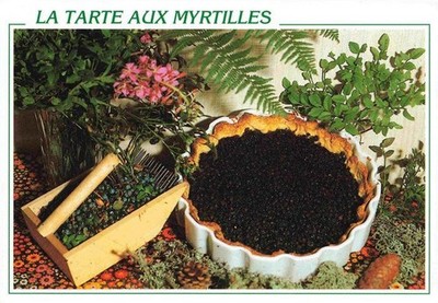 Rezept Recette-- Tarte aux Myrtilles 