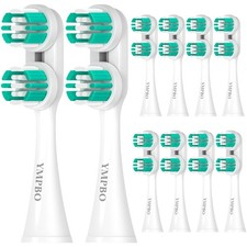 YMPBO Replacement Heads Compatible with Spinbrush 1 Count Pack of 10 , Green