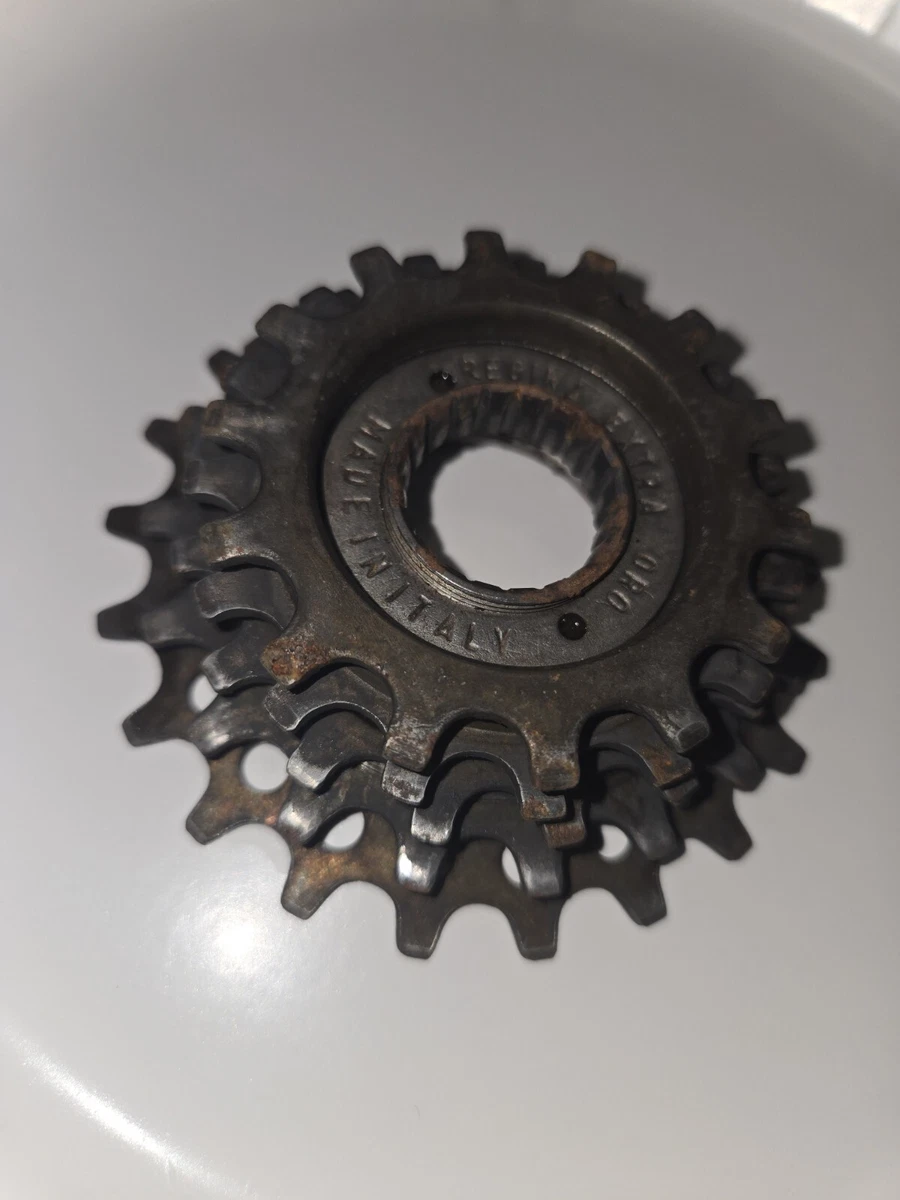 Regina Freewheels 5 Speeds for sale | eBay