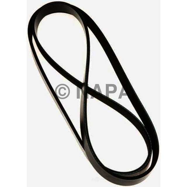 Serpentine BeltOHV NAPA/BELTS & HOSENBH 6PK2090 eBay