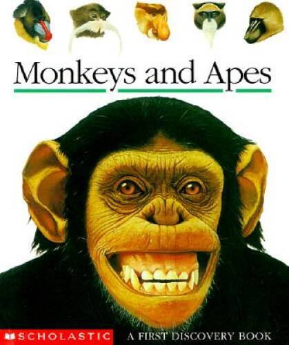 Explore Monkeys and Apes in this First Discovery Spiral-Bound Book in Very Good Condition