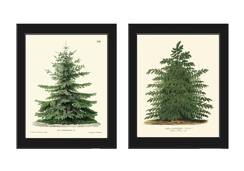 Impresiones artísticas de Navidad