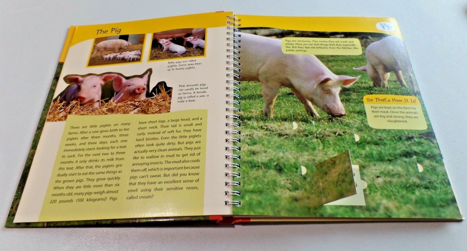 BABY FARM ANIMALS A Lift the Flap Children's Hardcover Book Grimm