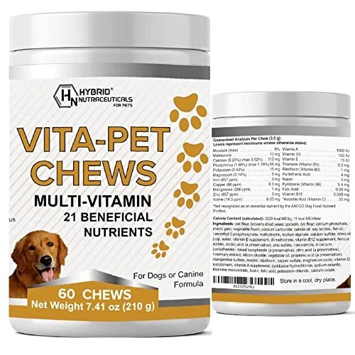 What Vitamins And Minerals Do Dogs Need Daily