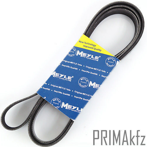 earthquake minime p12v2