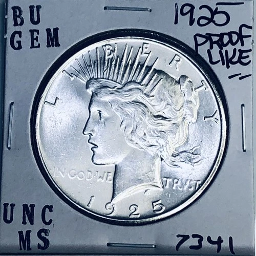 1925 P BU GEM PEACE SILVER DOLLAR UNC MS+++ U.S. MINT RARE COIN 7341