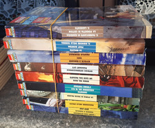 MAXI NATHAN NEVER - LOTTO 9 FUMETTI (TITOLI IN FOTO)