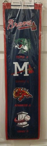 Gwinnett Stripers Florida FireFrogs Mississippi Braves Rom Braves Banner