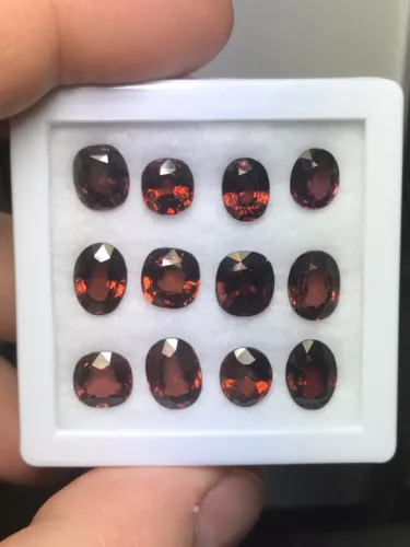 Rhodolite Garnet Gemstones Lot Natural 31.62 Carat 12 Pc Genuine Loose Sri Lanka