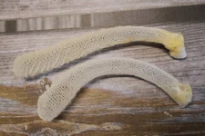 WEDDING TRADITION, Venus Flower Baskets, Unique Wedding Gift, Sea Sponge GS-FR