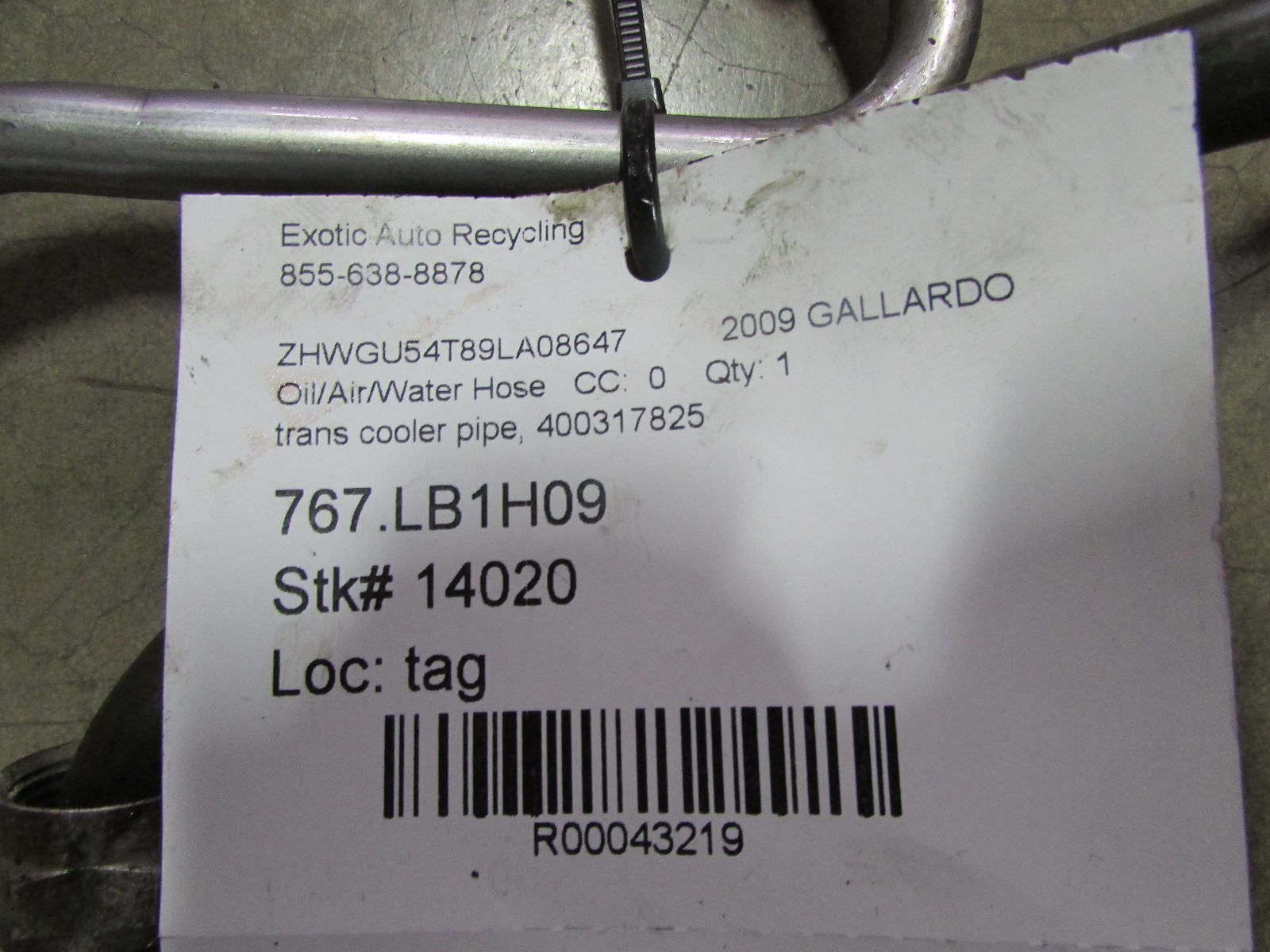 Lamborghini Gallardo, LP550, LP560, LP570, Trans Cooler Pipe/Line, P/N 400317825