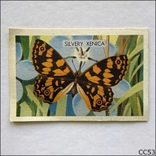 Discover Australia With Shell #225 Silvery Xenica 1960 Card (CC53)