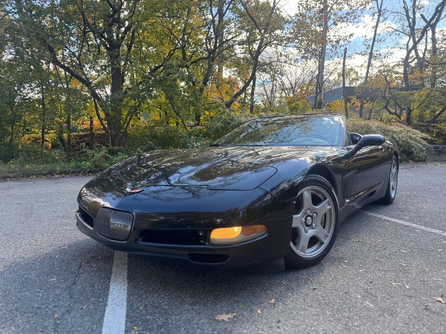 1999 Chevrolet Corvette for sale in Maplewood New Jersey