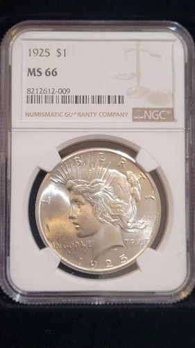 1925 Peace Dollar.          NGC MS66