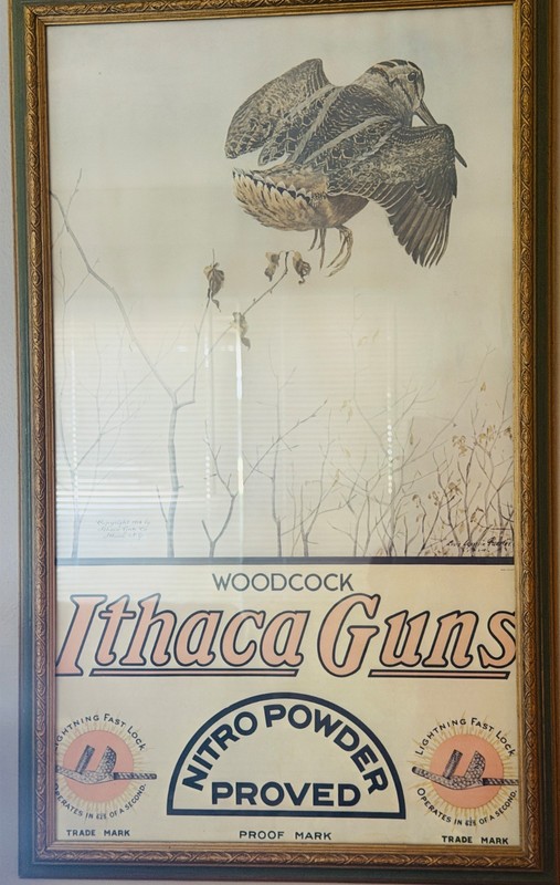 "Woodcock Ithaca Guns Nitro Powder Proved" Advertisement Signed Poster Framed