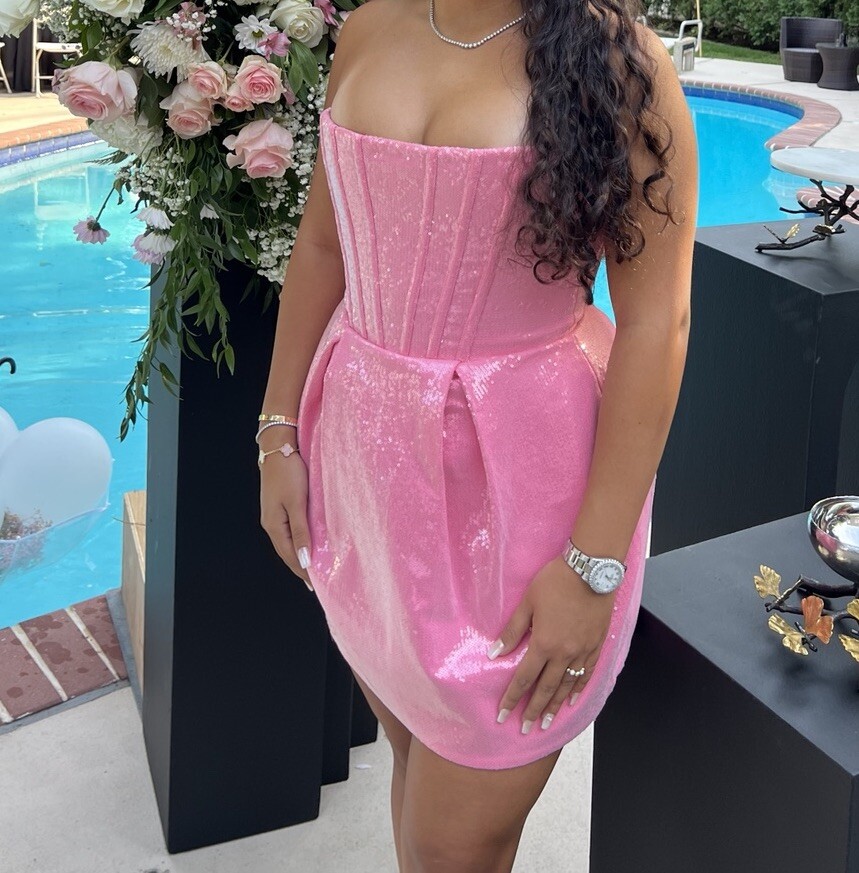 BRONX & BANCO Maraya Corset Pink Sequin Mini Dress NWT 8/L | eBay