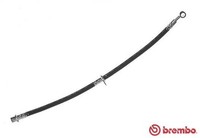 Brembo T 28 091 Bremsschlauch Hinten Links FüR Honda