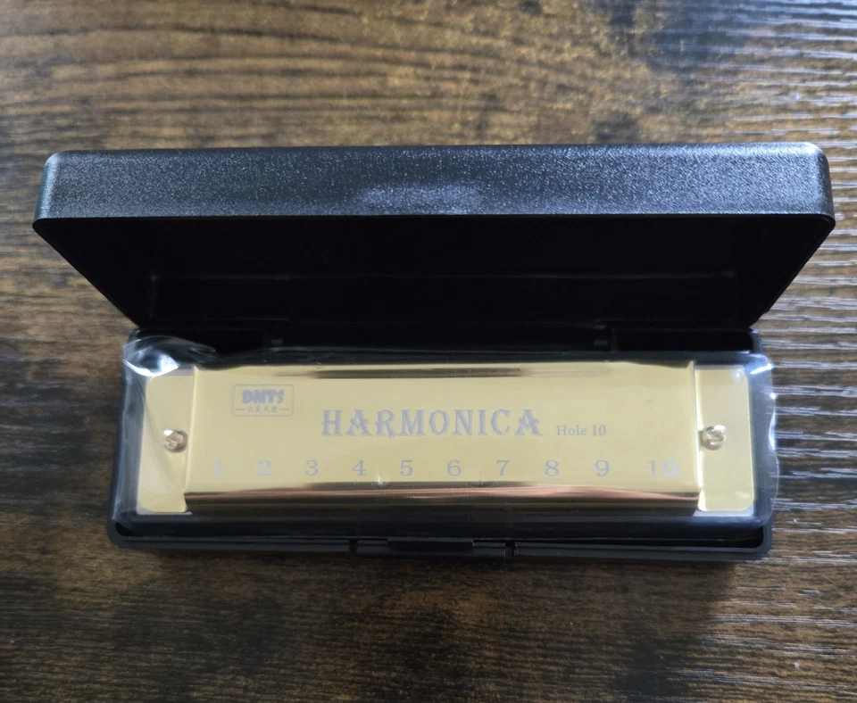 Armónica diatónica dorada de 10 agujeros C con estuche - Llave de do - Arpa azul para principiantes Foto 2 de 3