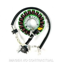Stator SGR Trifase 18 Pol Mit Pick-Up 2 Kabel Xcity FüR Motorrad