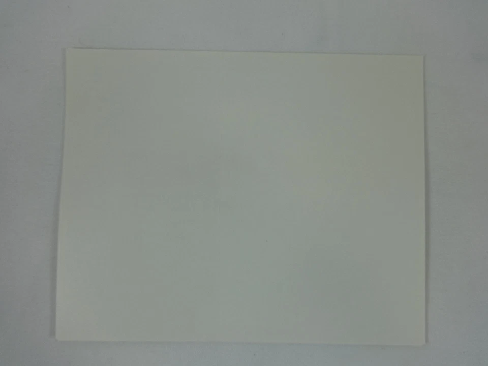 2011 Bristol Jeff Byrd 500 Food F City 500 Collector Decal Stricker Busch Gibbs - Image 2 of 4