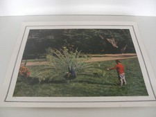 ANCIENNE PLANCHE AFFICHE POSTER PHOTO SCOLAIRE PAON