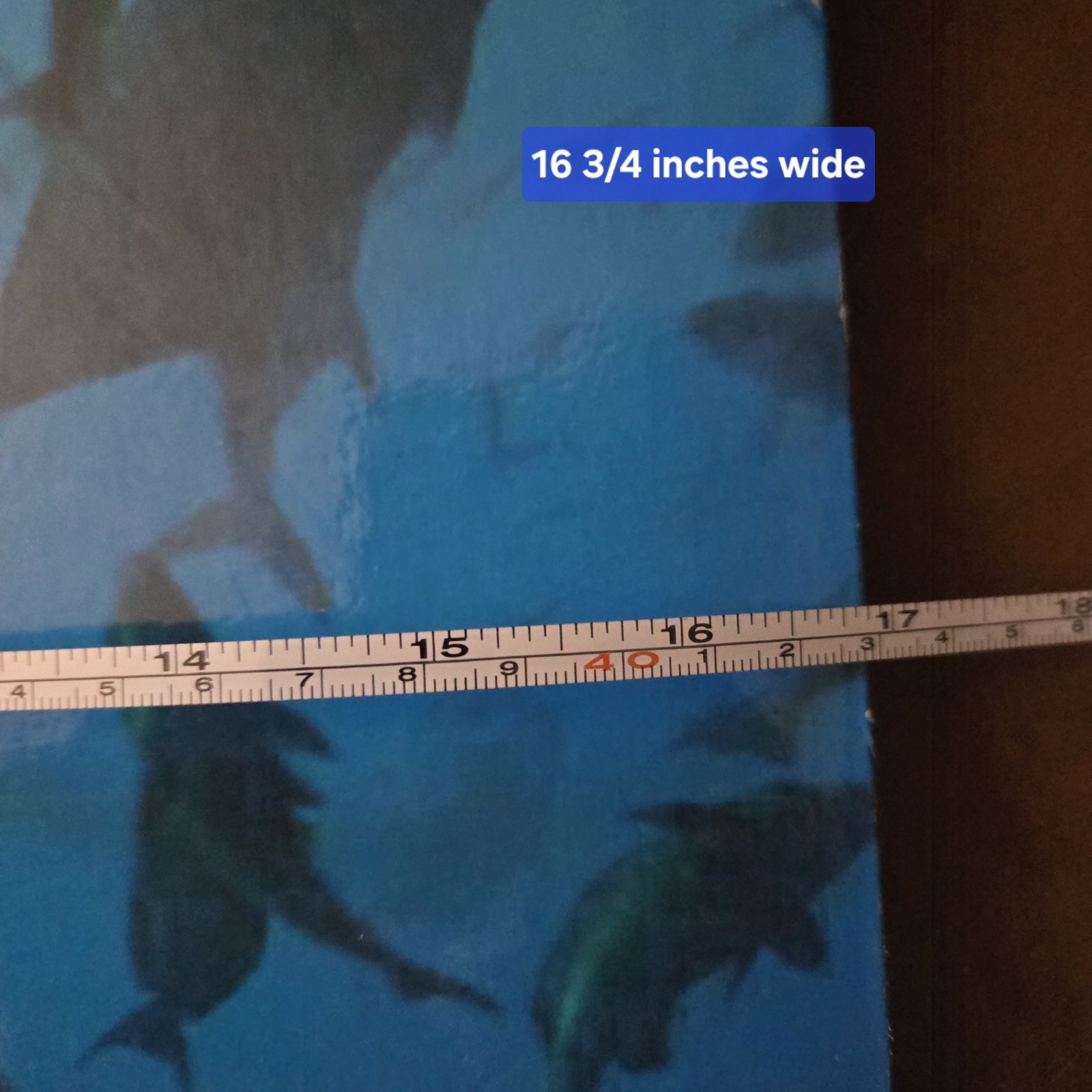 Bild 11 von 12